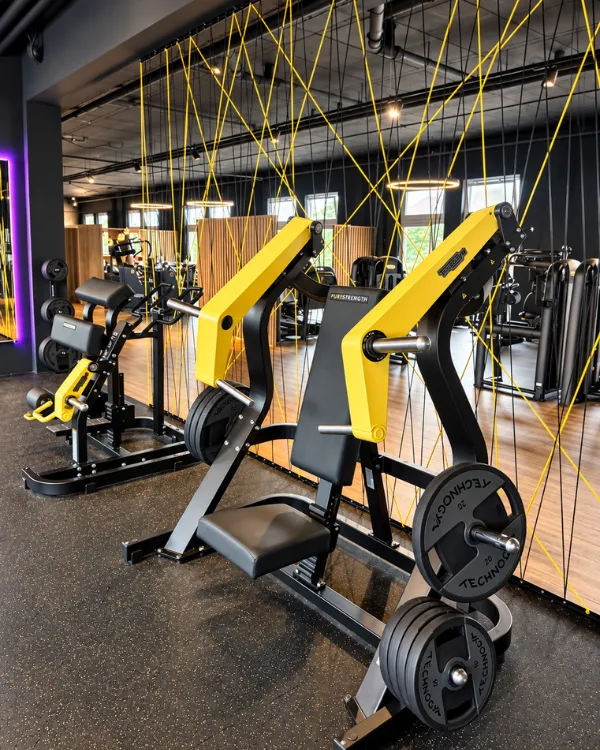 Fitnessstudio Dresden - Modernste Kraftgeräte